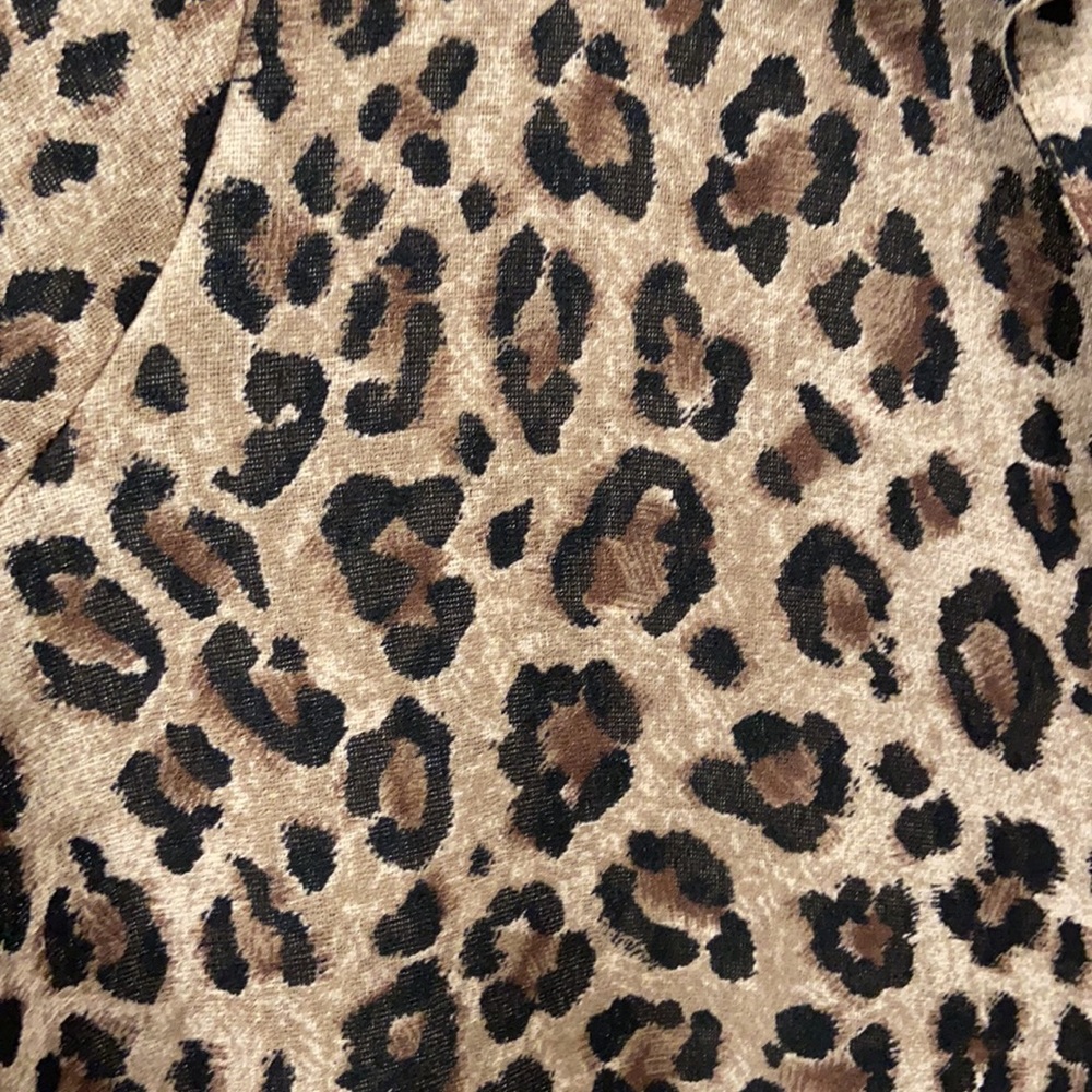 Leopard button down blouse. Nearly sheer. - Picture 2 of 4
